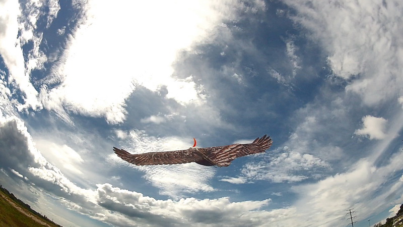 dwhobby eagle ii 27 tb