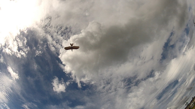 dwhobby eagle ii 33 tb