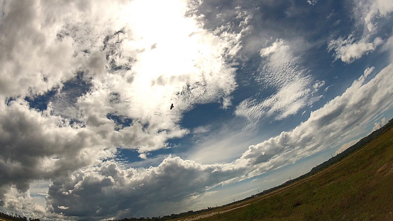 dwhobby eagle ii 34 tb