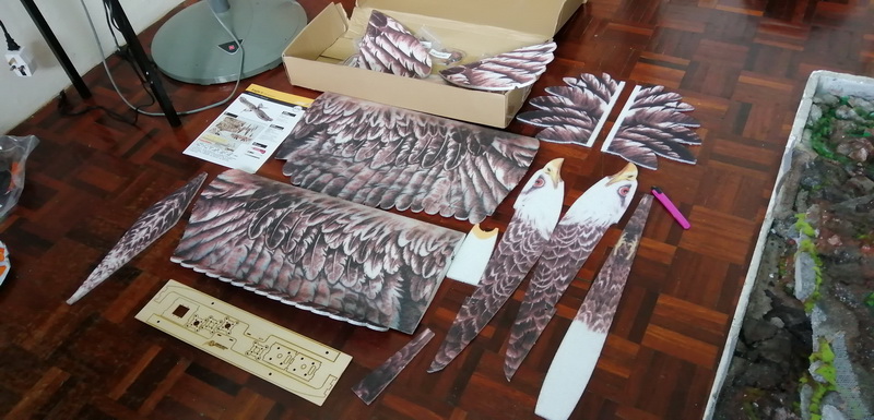 dwhobby eagle ii 55 tb