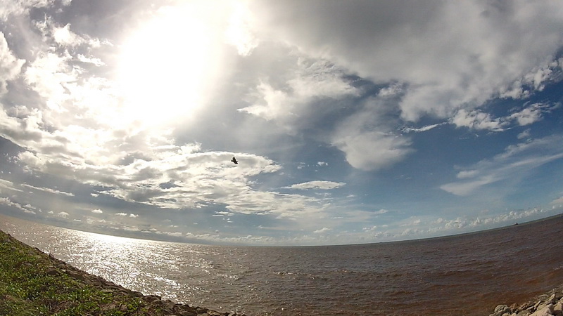 dwhobby eagle ii 5 tb