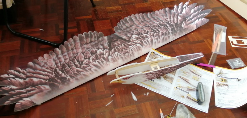 dwhobby eagle ii 67 tb