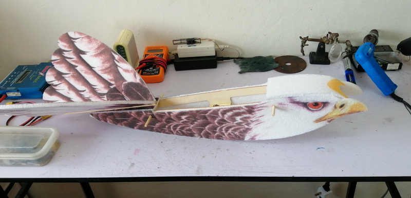 dwhobby eagle ii 68 tb