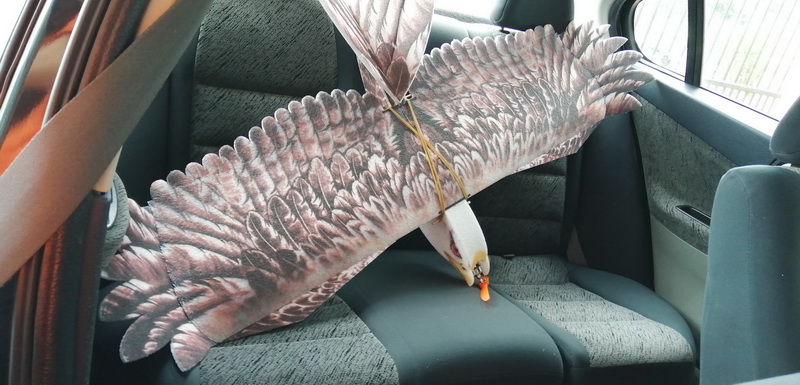 dwhobby eagle ii 78 tb