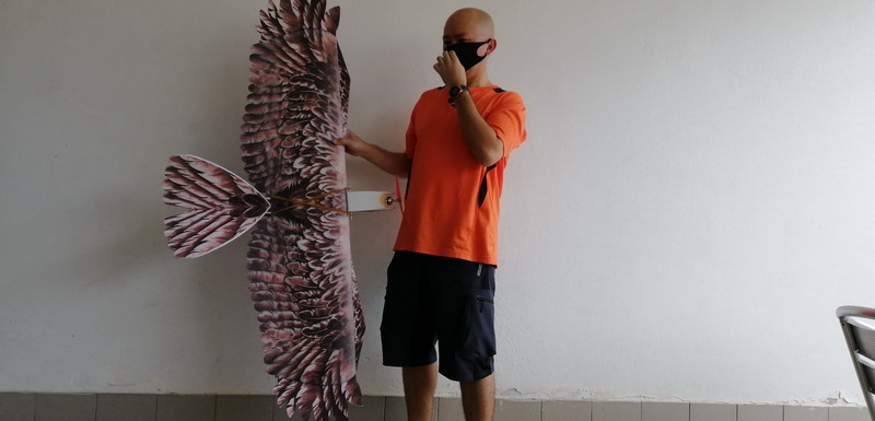 dwhobby eagle ii 83 tb