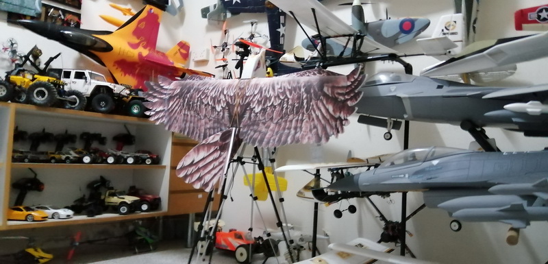 dwhobby eagle ii 84 tb