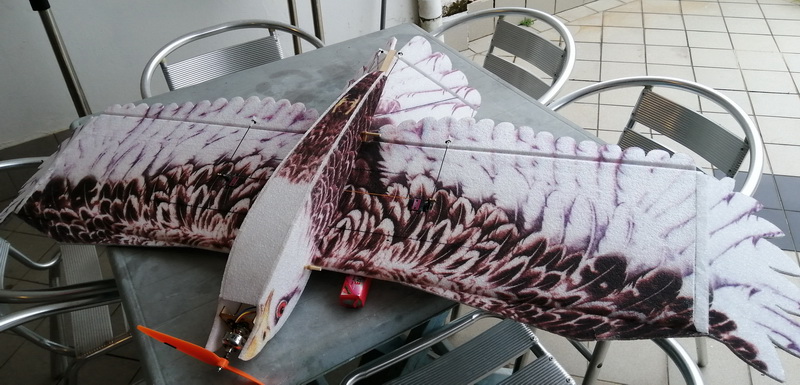 dwhobby eagle ii 86 tb