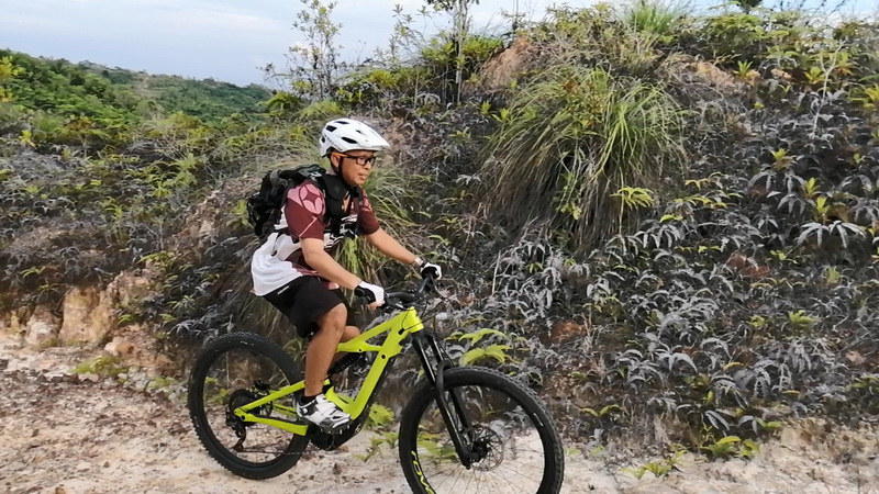 ride ebike w2 50