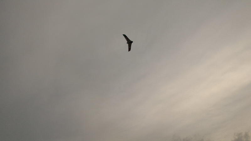 how to precheck waypoints 28