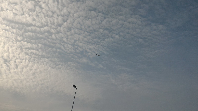 how to precheck waypoints 48