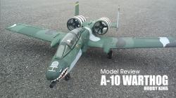 Model review: HOBBY KING - A-10 WARTHOG 75mm twin EDF jet