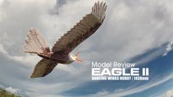  Model review: DANCING WINGS HOBBY - Eagle II 1430mm