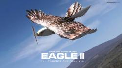 Dancing Wings Hobby EAGLE II - Phoenix R/C simulator